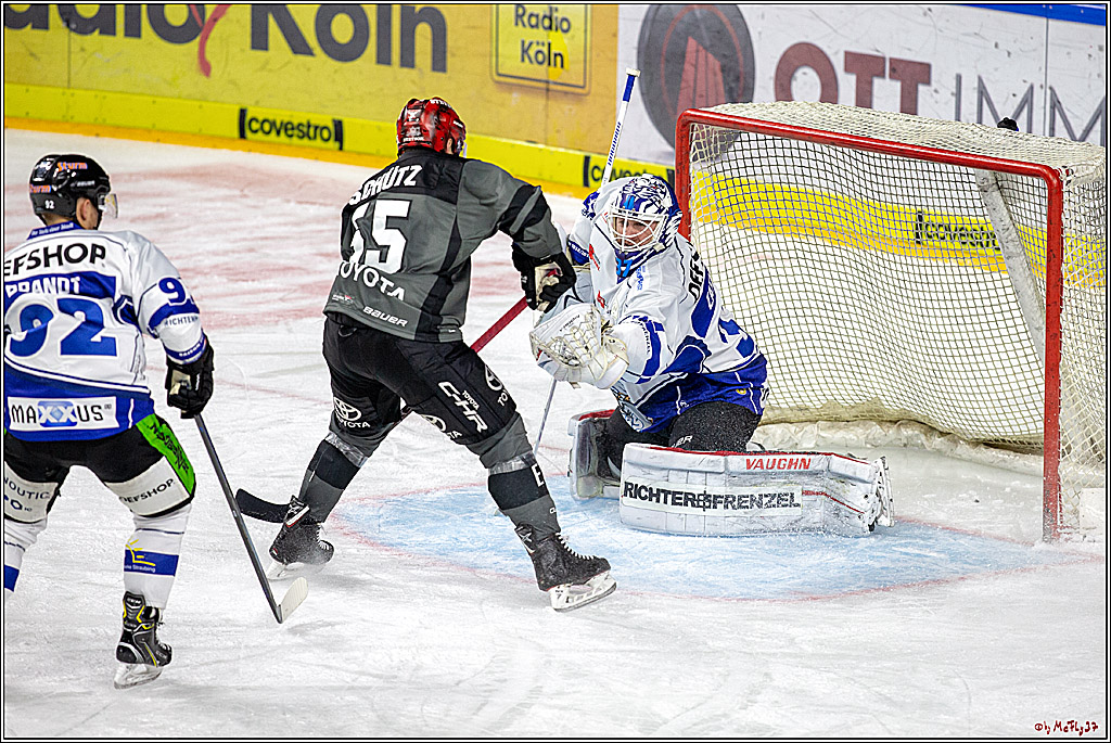 DEL; Koelner Haie - Straubing Tigers, 28.09.2018